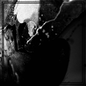 event horizon (mess.a.lina version)