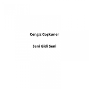 Seni Gidi Seni