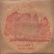 Eucalypt / Needletail