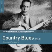 The Rough Guide to Unsung Heroes of Country Blues, vol. 2