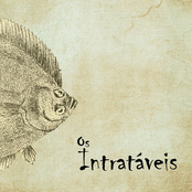 Os Intratáveis
