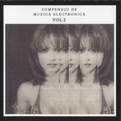 Compendiu de Muzica Electronica Vol. 2