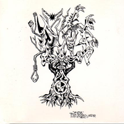 Later, That Same Year...