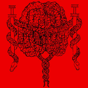 Cerebral Quasaric Lacerations MMXXIII