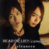 DEAD OR LIE?/camellia