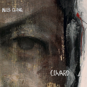 Nels Cline: Coward