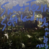 Soft Landing on the Sun