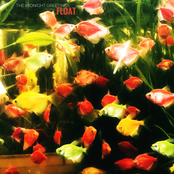 Float