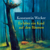 Weil Du Mich Magst by Konstantin Wecker