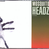 mosquito headz