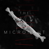 Karausche by The Micronaut