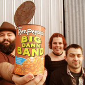 the reverend peyton's big damn band