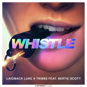 Laidback Luke: Whistle (feat. Bertie Scott)