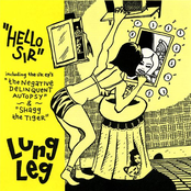 Punk Pop Travesty by Lung Leg