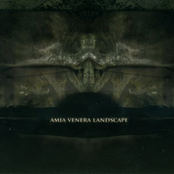 Amia Venera Landscape