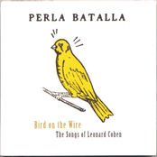 Perla Batalla: Bird on the Wire: The Songs of Leonard Cohen