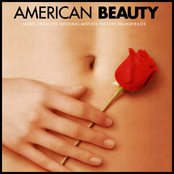 american beauty