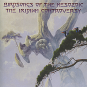 100 Years Of Excellence by Birdsongs Of The Mesozoic