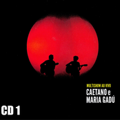 Multishow Ao Vivo CD 01