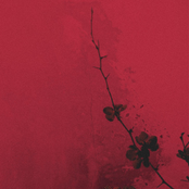 Nothing Matters Anymore