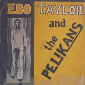 ebo taylor & the pelikans