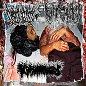 3 - Way To Severed Bloody Abhorrence