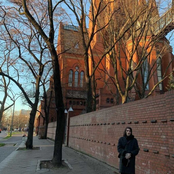 Behaviours Of Concern