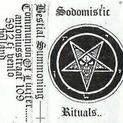 Prophecies Of Darkness And Evil by Bestial Summoning