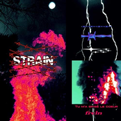 Strain