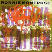 Stay With Me by Ronnie Montrose