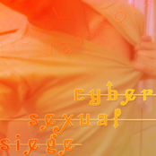 cyber sexual siege