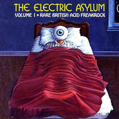 the electric asylum vol. 1 - rare british acid freakrock