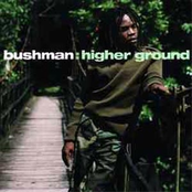 On The Road by Bushman