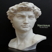 Narcissus