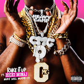Rake It Up (feat. Nicki Minaj) - Single