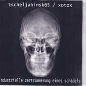 Industrielle Zertrummerung Eines Schadels