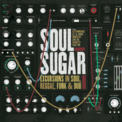 Excursions in Soul Reggae Funk & Dub