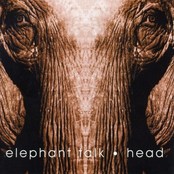 Head by Elephant Talk