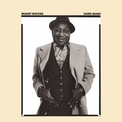 Deep Down In Florida by Muddy Waters