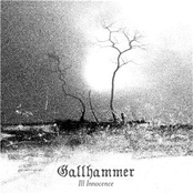 Blind My Eyes by Gallhammer