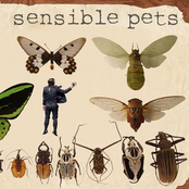 Sensible Pets