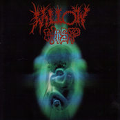 The Building Up And Breaking Down Of Matter