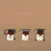 Canari