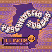 Psychedelic States: Illinois In The 60s Vol 1
