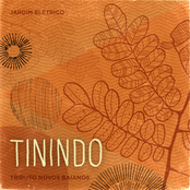Tinindo