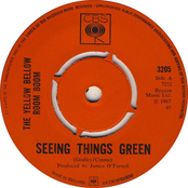 Seeing Things Green / Easy Life