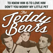 To Know Him Is To Love Him / Don't You Worry My Little Pet