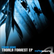 Thoala Forrest EP - auflegware 026