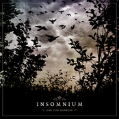 One For Sorrow by Insomnium