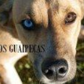 Confusões e Alucinações